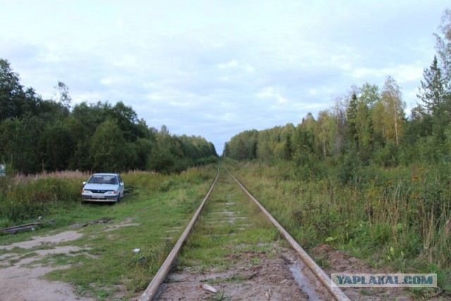 Заброшенные деревни Костромской области. Совега