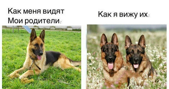 Бредзона 15.10.19