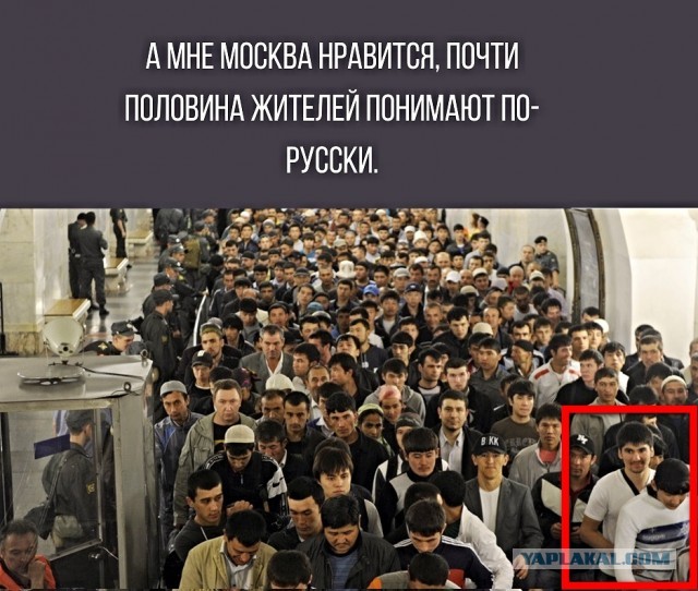 Картинки с надписями, истории и анекдоты 24.11.19