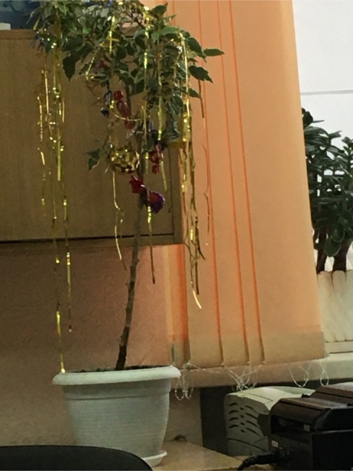 Нищебродки, не для вас мои ягодки росли!