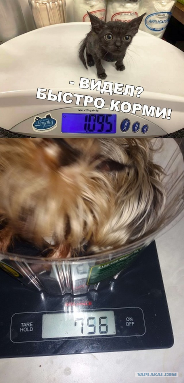 Несколько картинок для настроения