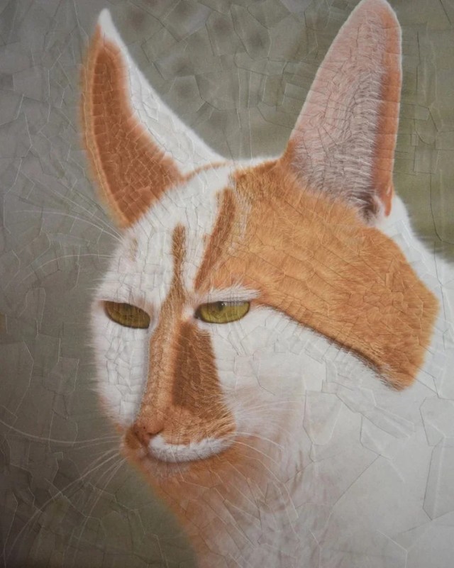Котики