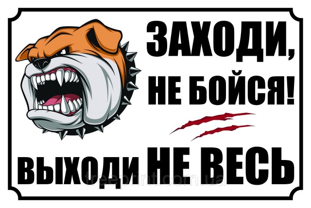 "У нас не Европа!" - почему россияне выбирают высоченные заборы и смеются над живой изгородью