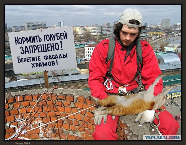 Фотожаба: Грустный альпинист