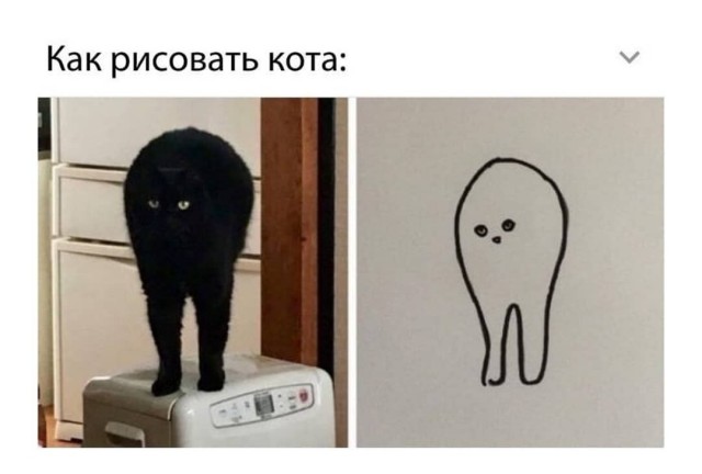 Картинки на котовторник 1.09.20