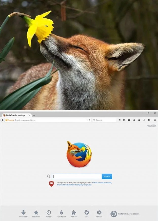 Фотошоп