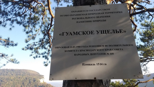 Возможен резкий рывок! Туроператоры предупредили о росте цен на российских курортах из-за закрытых границ.