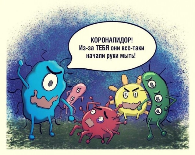 Картинки 11.02