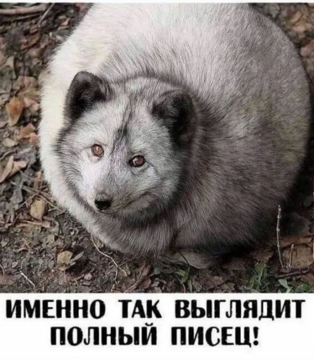Картинки с надписями и всякие жизненные фразы