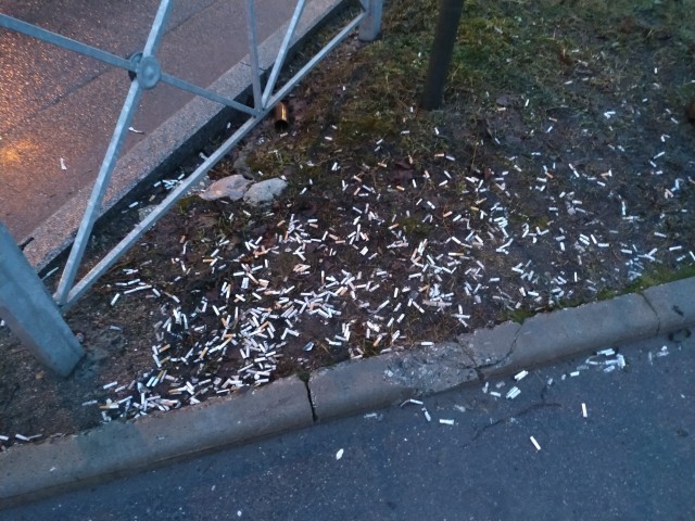 Культурный Питерский мотоциклист рассказал курскому быдлу, что негоже бросать бычки на проезжую часть