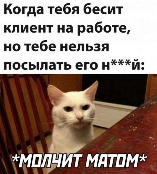 Картинки и мемы для настроения 21.10.21