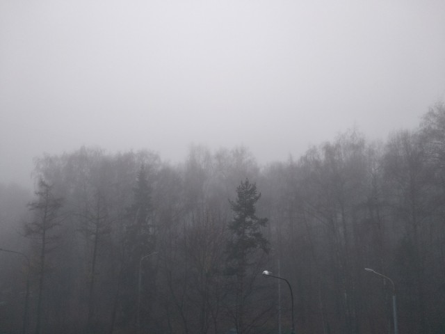 Туман в Москве