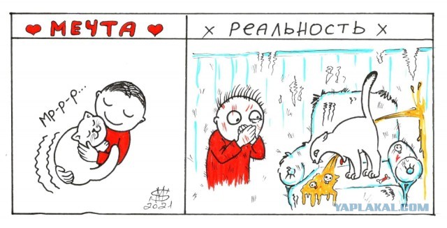 Ну как их можно не любить