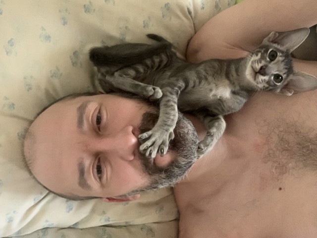 Коты, которые чихать хотели на ваше личное пространство