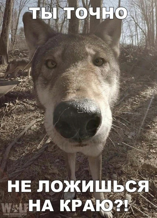 Нос