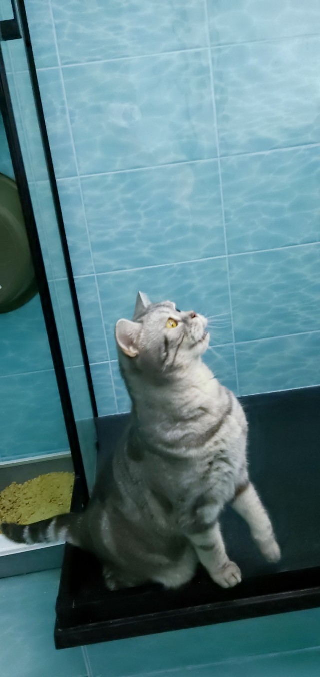 Котовторник - по расписанию!