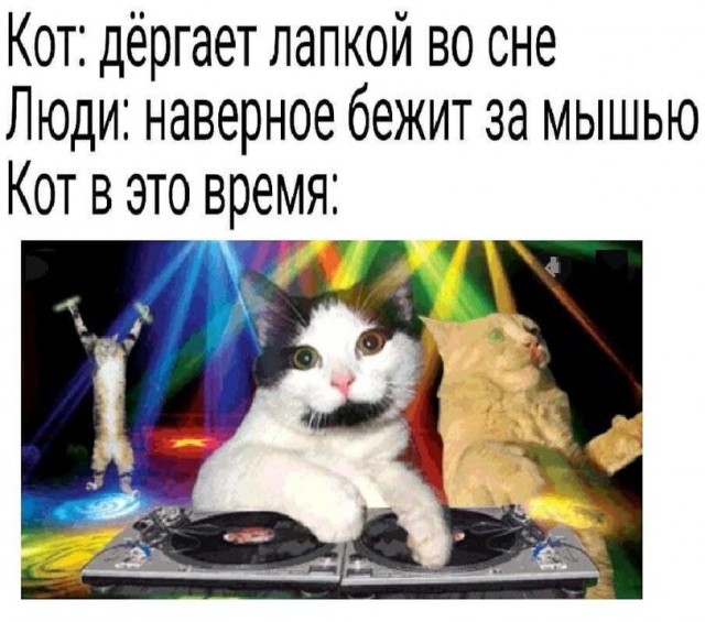 Пятничная Хня, для деградантов