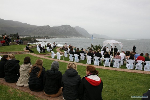 ЮАР, Замбия, Ботсвана