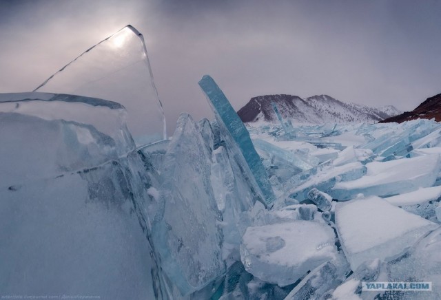 Тонкие струны Байкала или 400 км на коньках!