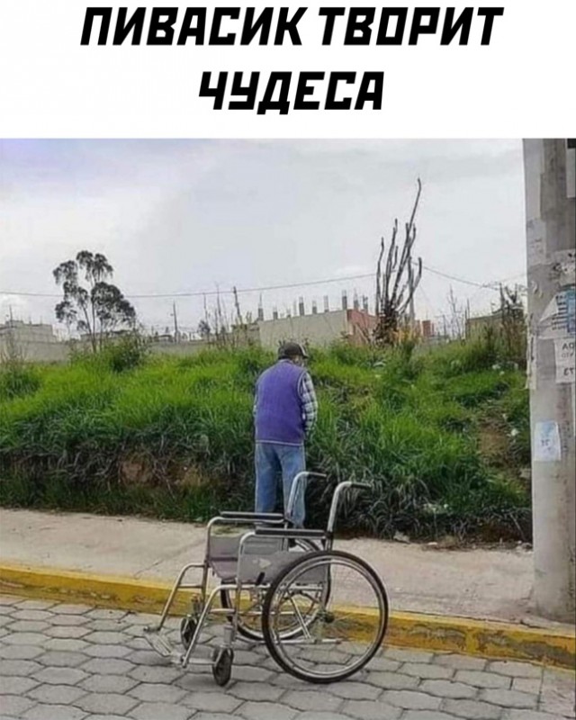 Весёлый полтишок 27.07.22