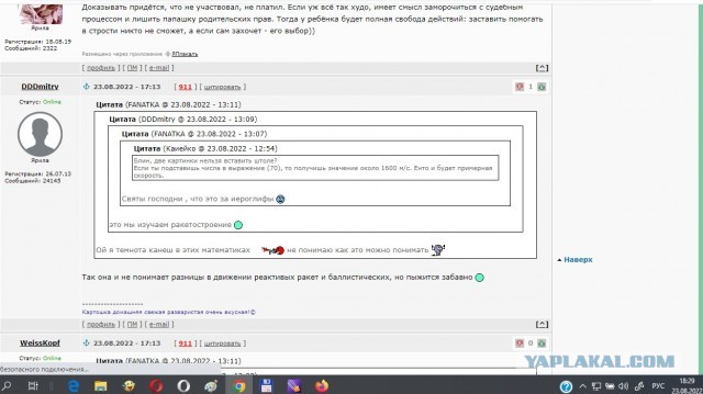 "Живём мы, алиментщицы, в свое удовольствие"