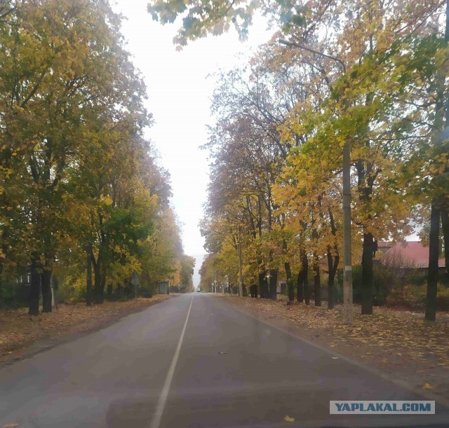 Поделимся красивыми фото с телефона?