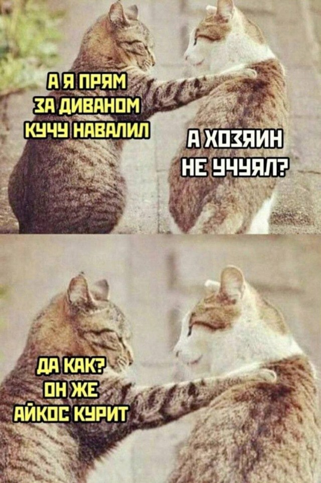 Картинки аморальные и всякие разные - 43