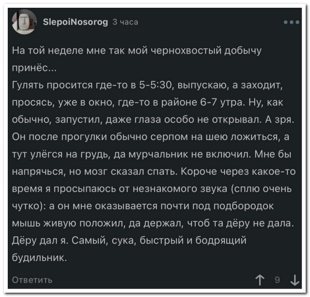 Забавные комментарии из социальных сетей 26.12.22