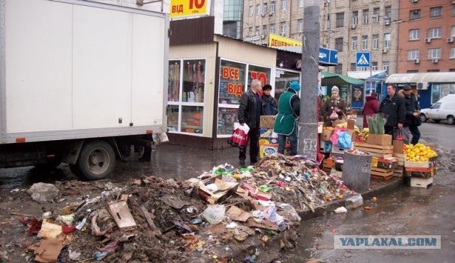 Первые леопарды прибыли