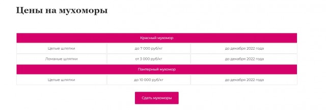 Картинки с надписями 27 02 23