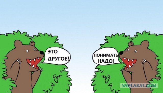 Украинка о единстве
