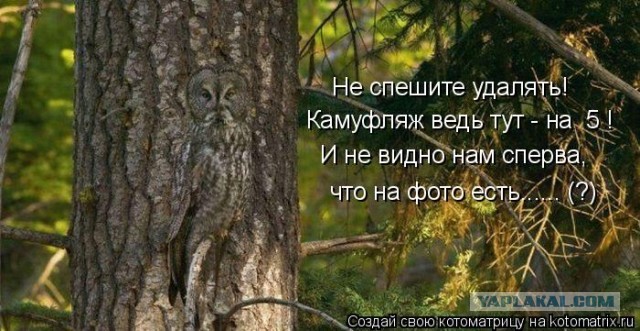 Искусство быть невидимкой