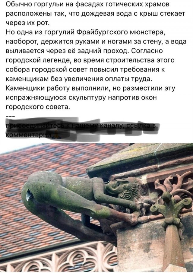 Так себе картинки 21.05.23