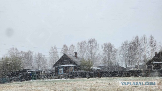 На машине из Твери в Китай и обратно