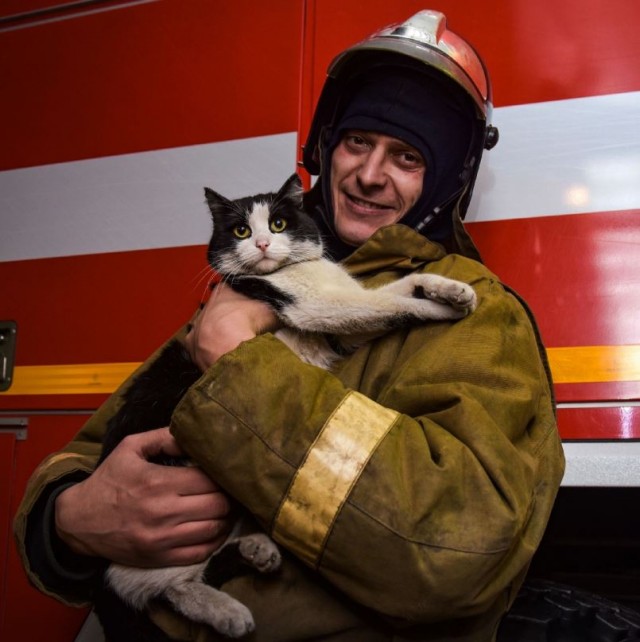 Адский котэ