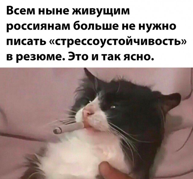 Девятая подборка самых баянистых баянов! Ностальгируем...