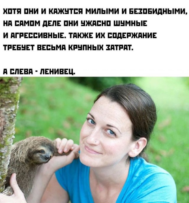 Десятая подборка самых баянистых баянов! Ностальгируем...