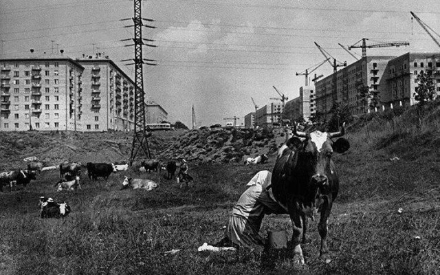 Фотографии из прошлого нашей страны - 31