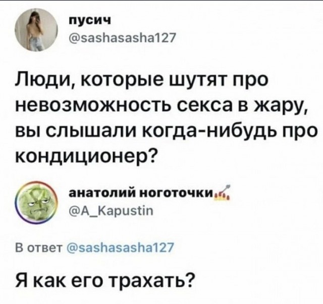 Весёлый полтишок 01.10.23
