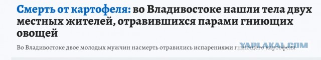 Шахта по добыче картофеля