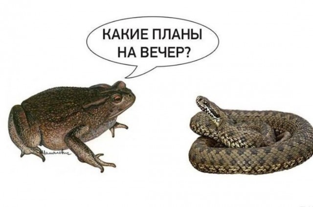 Настя негодуэ