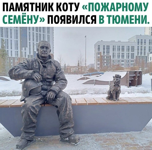 Кото-вторник