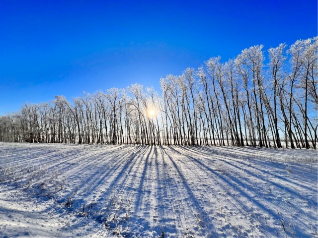 ФотоВинегрет