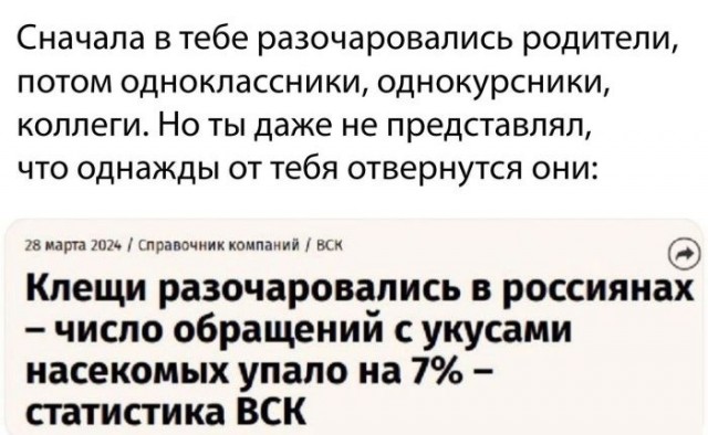 Так себе картинки 23.05.24