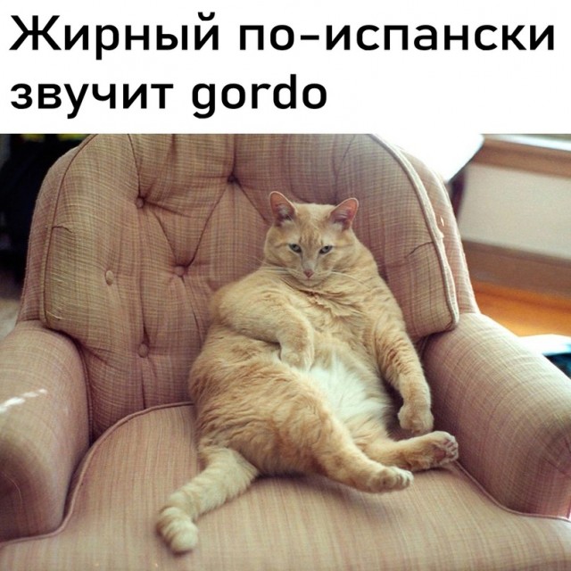 19138371.jpg