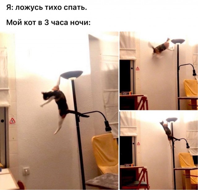 Завалялось тут случайно немного забавных картинок