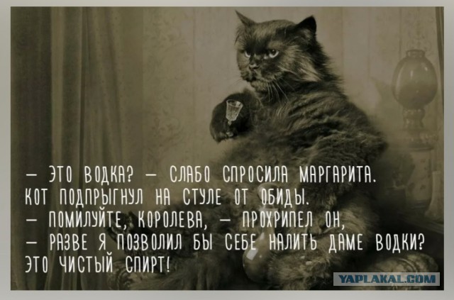 Ужин слабой и зависимой