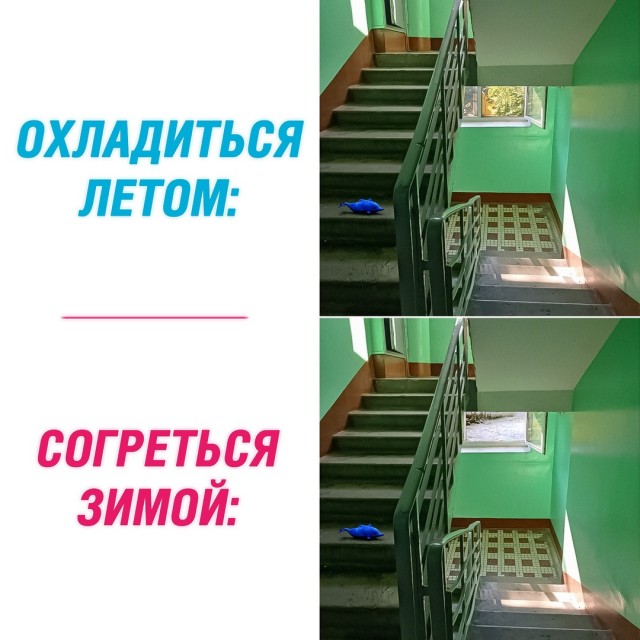Весёлый полтишок 05.08.24