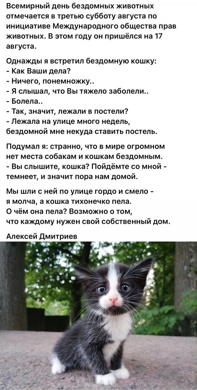 Веселая ферма: Возьмем собачку у ЯПовчвнина?