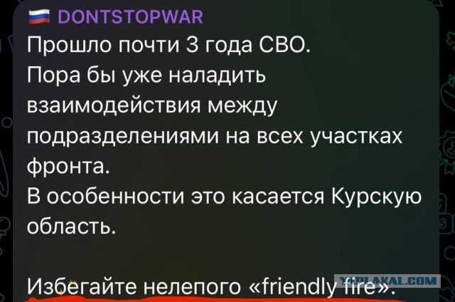 Курская область  н.п. Русская Конопелька